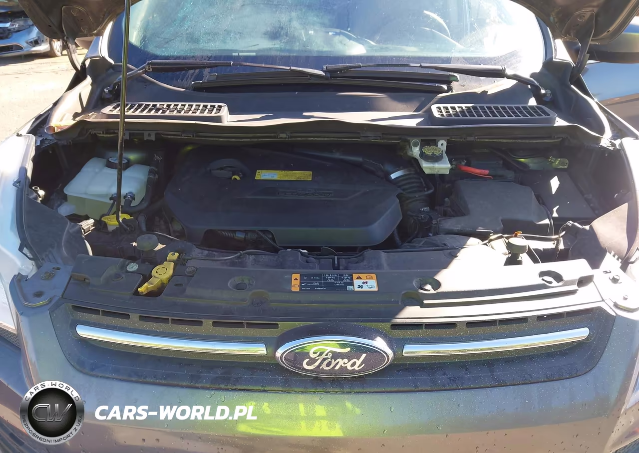 2014 Ford Escape Se VIN:1FMCU9GX0EUA49431 - 10