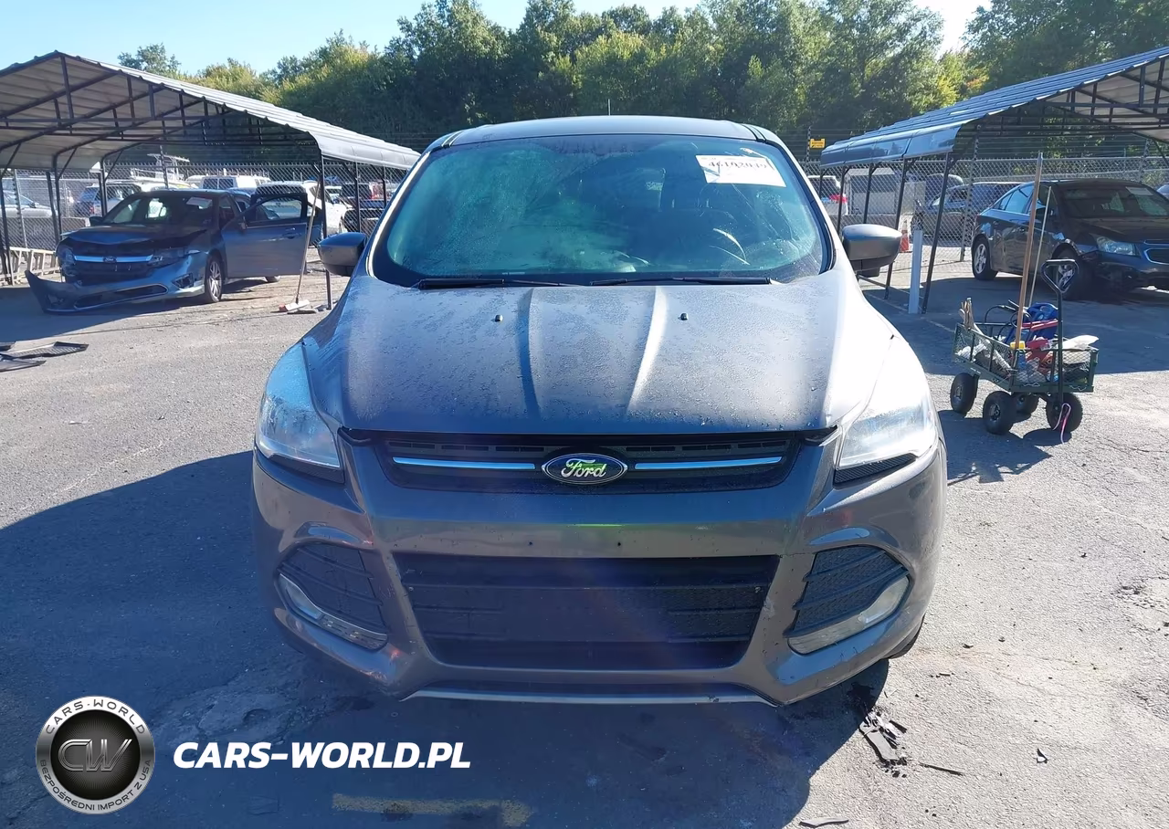 2014 Ford Escape Se VIN:1FMCU9GX0EUA49431 - 13
