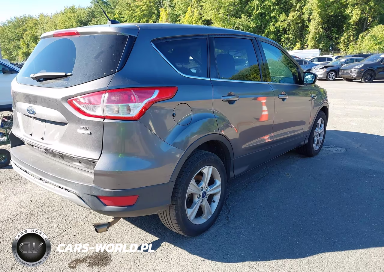 2014 Ford Escape Se VIN:1FMCU9GX0EUA49431 - 4