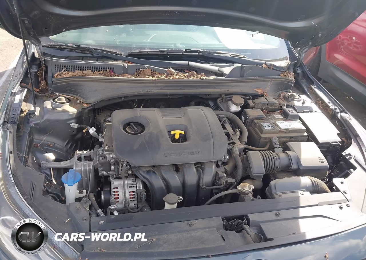 2019 Kia Forte Lxs VIN:3KPF24AD5KE066373 - 10