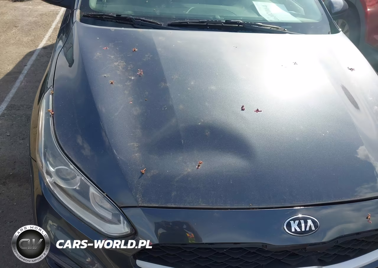 2019 Kia Forte Lxs VIN:3KPF24AD5KE066373 - 12