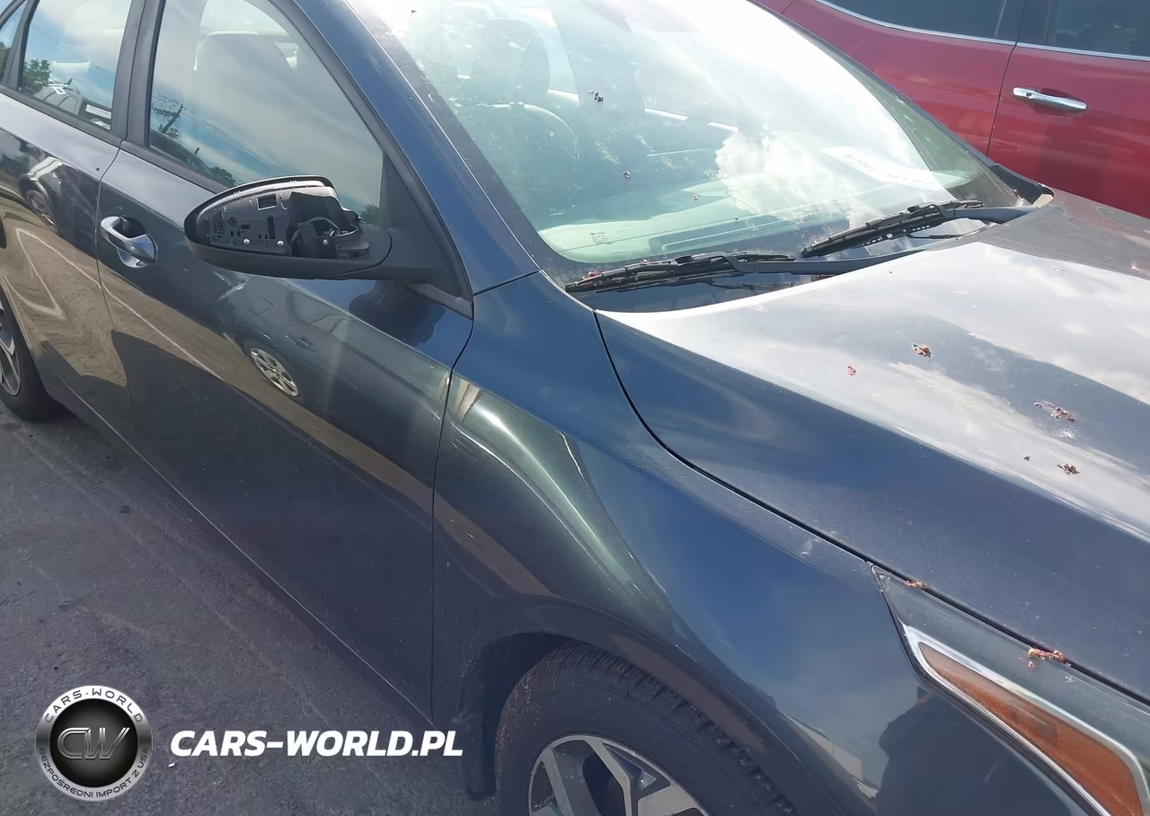 2019 Kia Forte Lxs VIN:3KPF24AD5KE066373 - 6