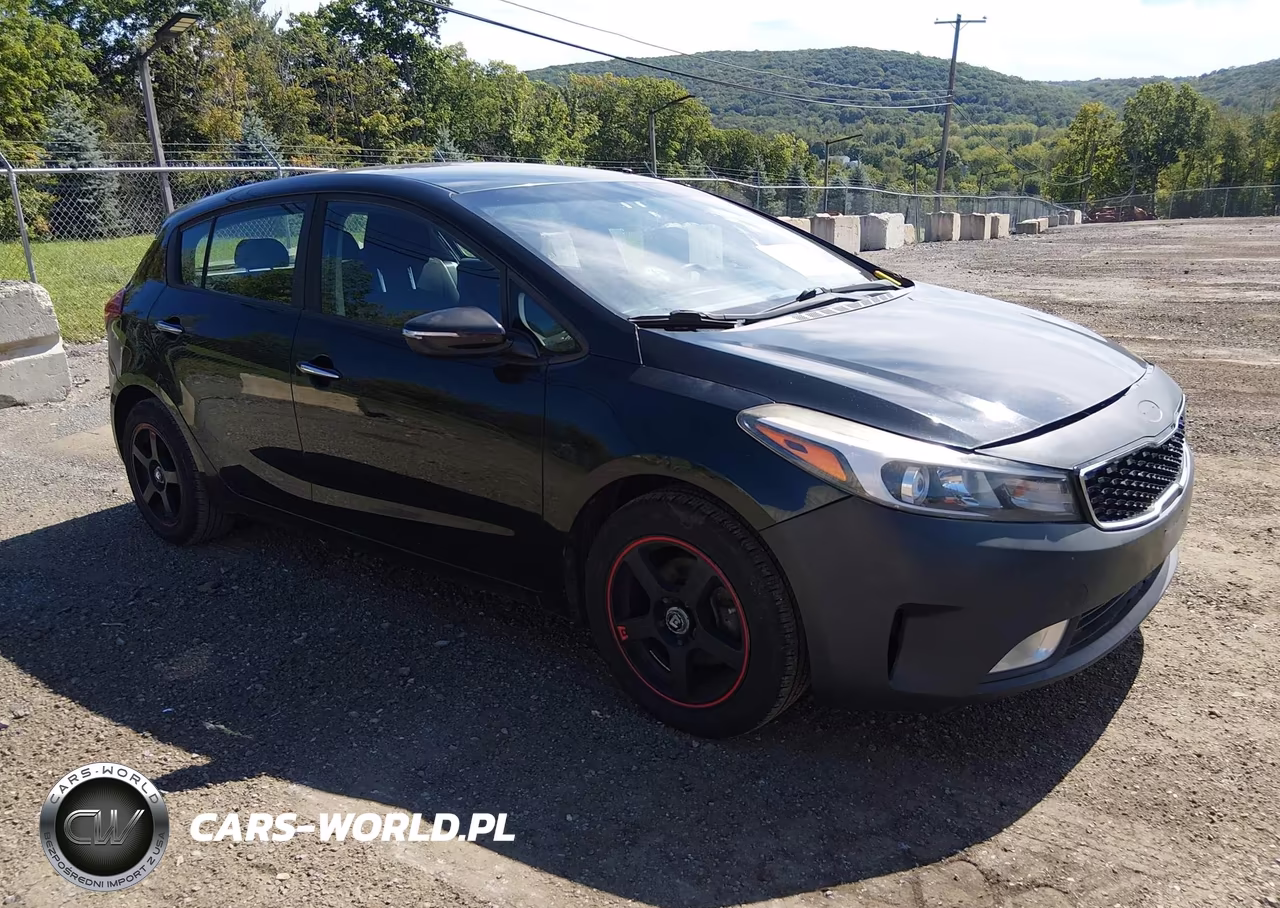 2017 Kia Forte Lx VIN:KNAFK5A88H5692347 - 1