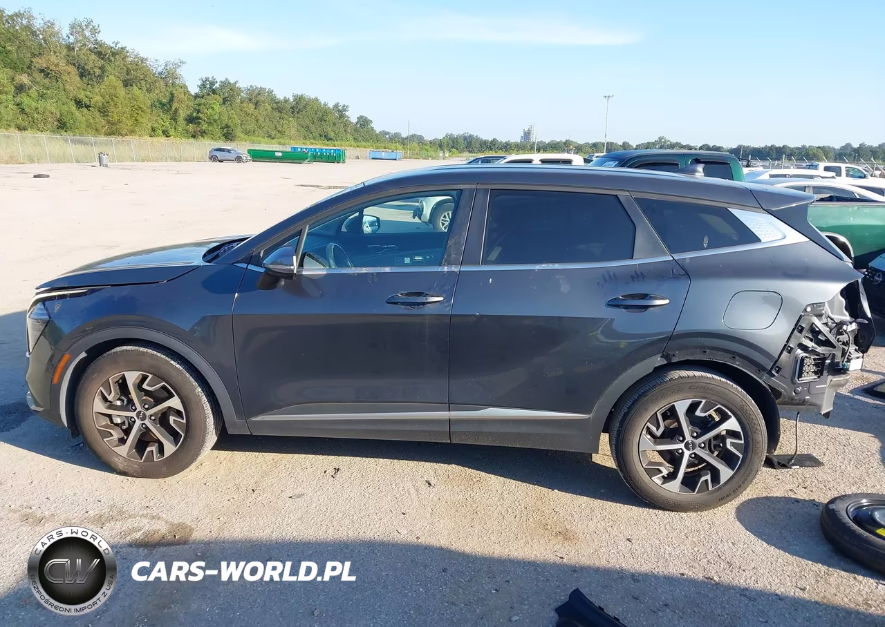 2024 Kia Sportage Ex VIN:5XYK33DF4RG222161 - 15