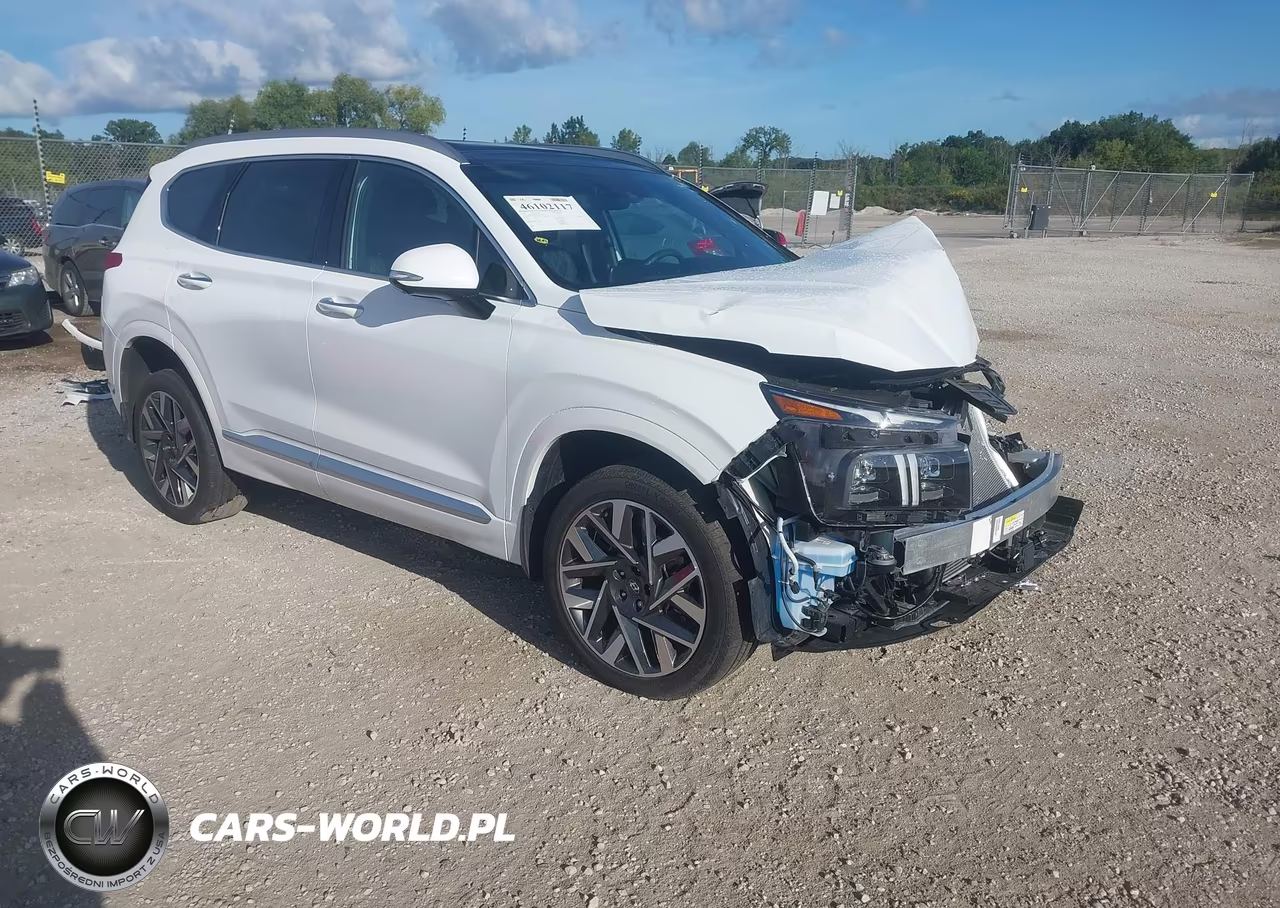 2023 Hyundai Santa Fe Calligraphy VIN:5NMS5DAL9PH619152 - 1