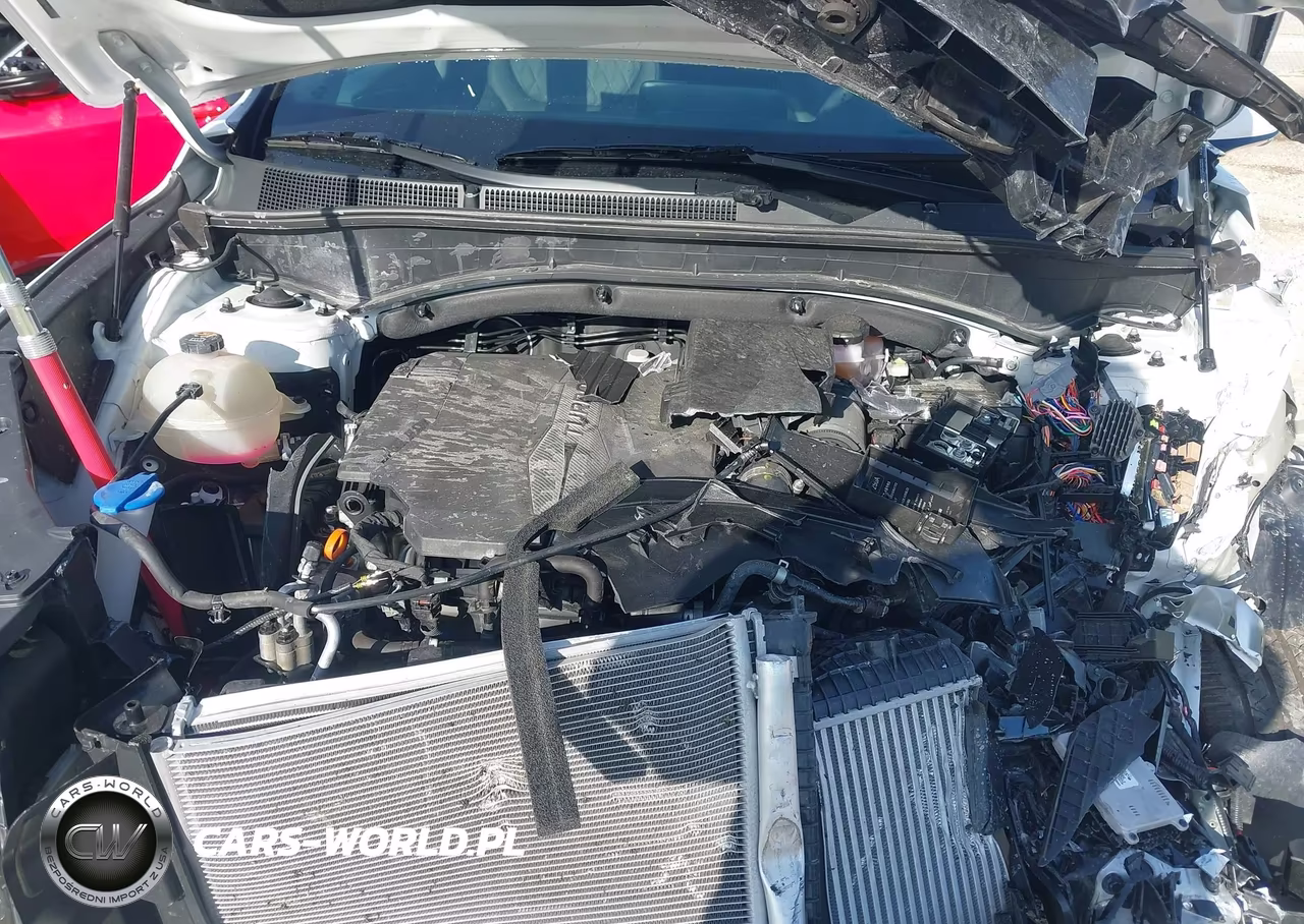 2023 Hyundai Santa Fe Calligraphy VIN:5NMS5DAL9PH619152 - 10