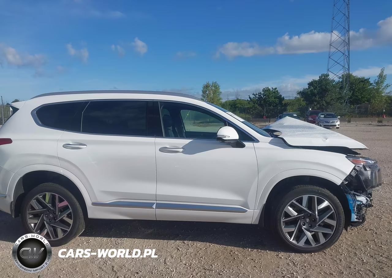2023 Hyundai Santa Fe Calligraphy VIN:5NMS5DAL9PH619152 - 13