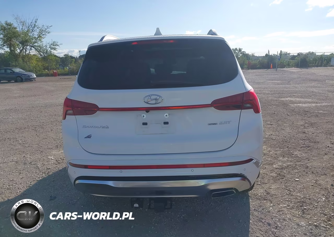 2023 Hyundai Santa Fe Calligraphy VIN:5NMS5DAL9PH619152 - 16