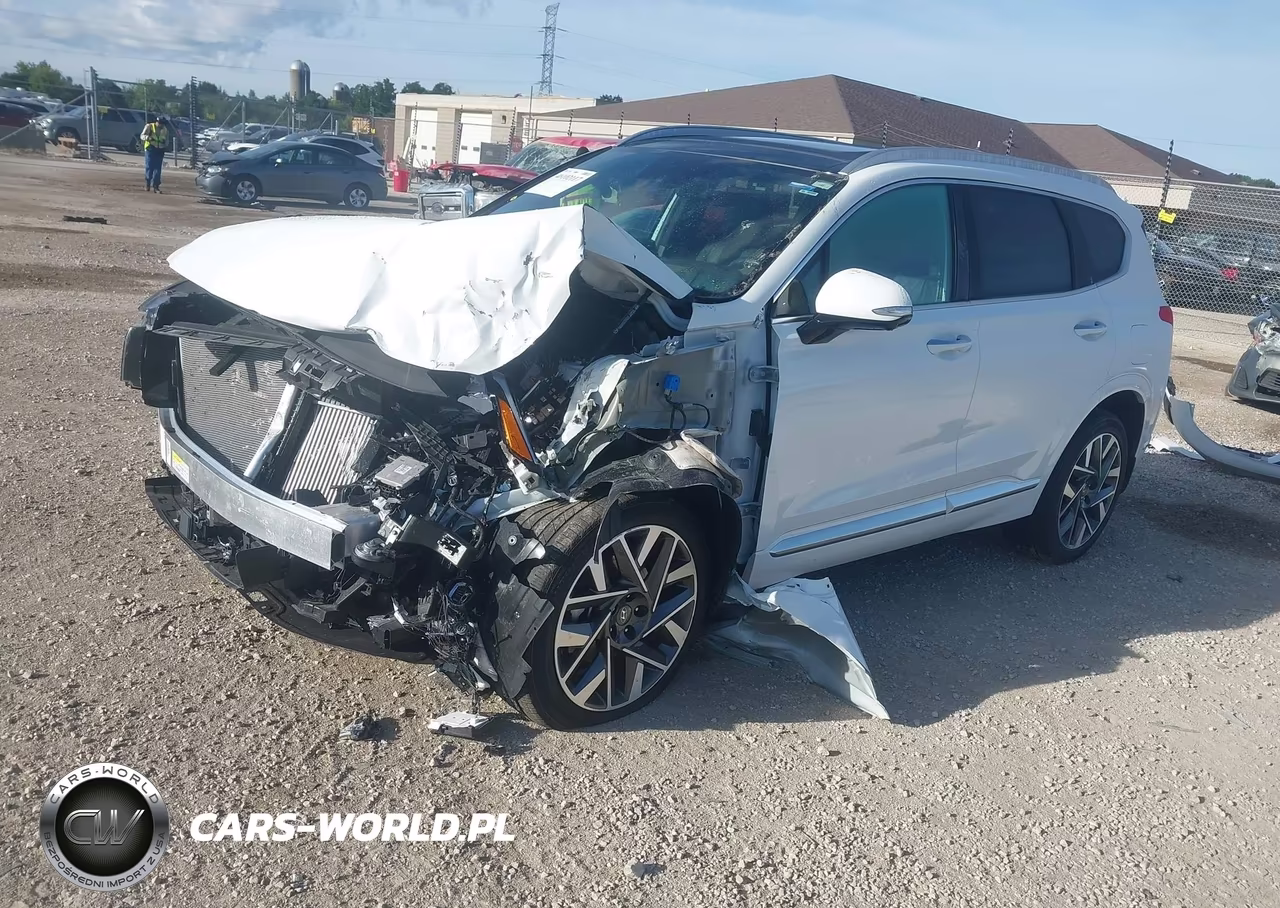 2023 Hyundai Santa Fe Calligraphy VIN:5NMS5DAL9PH619152 - 2
