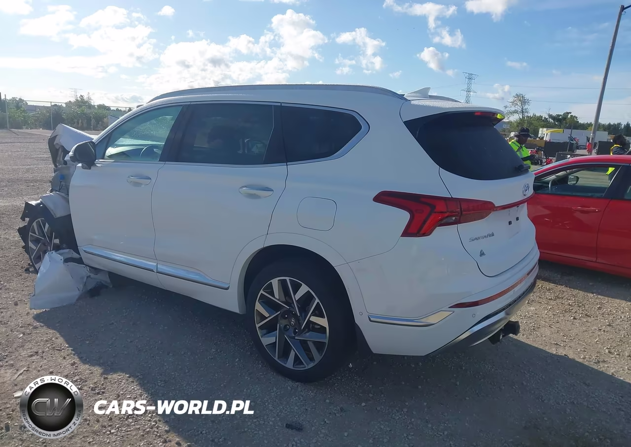 2023 Hyundai Santa Fe Calligraphy VIN:5NMS5DAL9PH619152 - 3