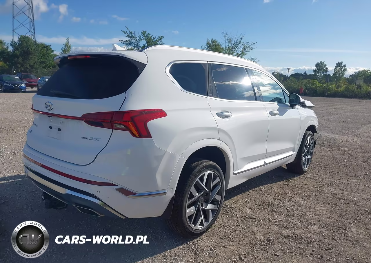 2023 Hyundai Santa Fe Calligraphy VIN:5NMS5DAL9PH619152 - 4