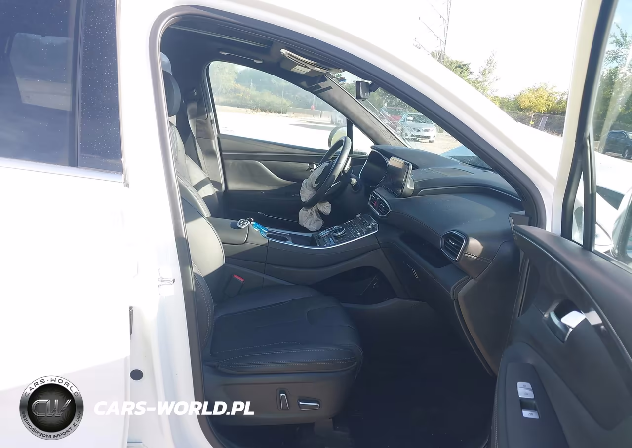 2023 Hyundai Santa Fe Calligraphy VIN:5NMS5DAL9PH619152 - 5