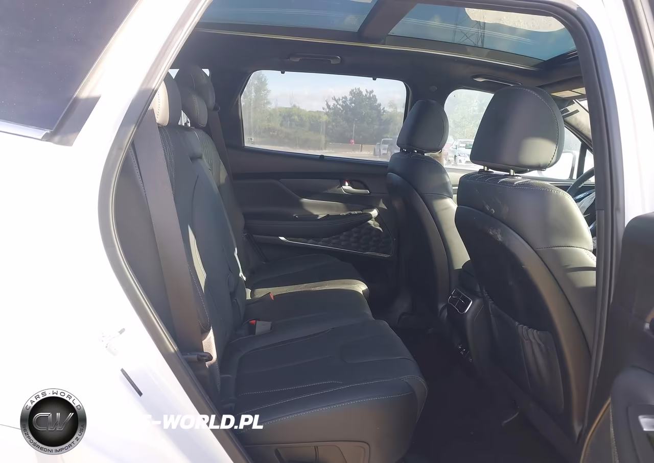 2023 Hyundai Santa Fe Calligraphy VIN:5NMS5DAL9PH619152 - 8