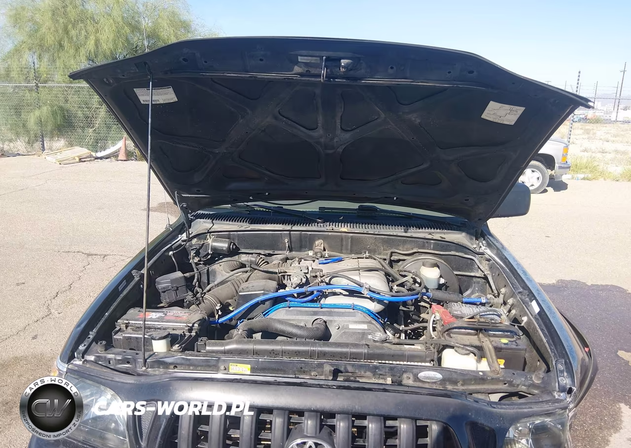 2002 Toyota Tacoma Prerunner V6 VIN:5TESN92N02Z071919 - 10