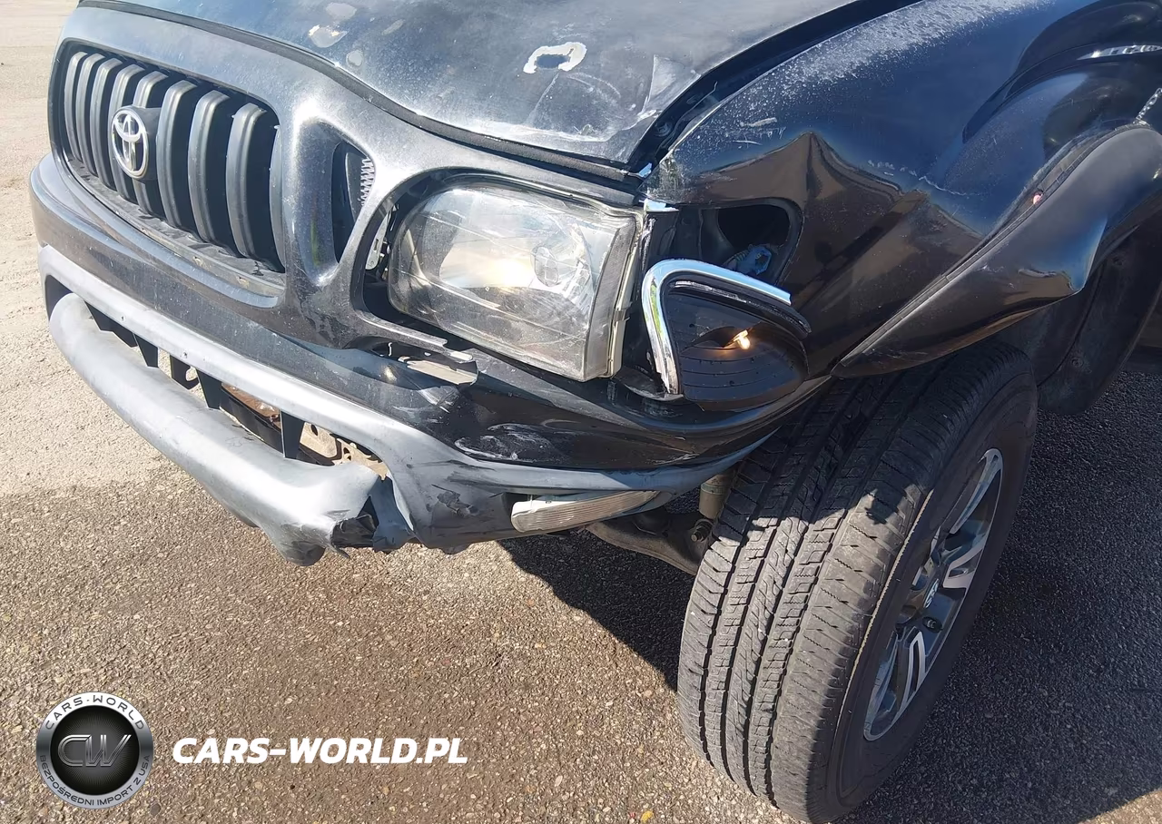 2002 Toyota Tacoma Prerunner V6 VIN:5TESN92N02Z071919 - 6