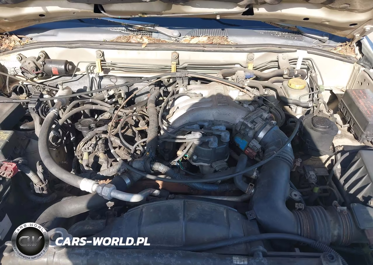 1999 Nissan Pathfinder Le-Se-Xe VIN:JN8AR05Y8XW328500 - 10