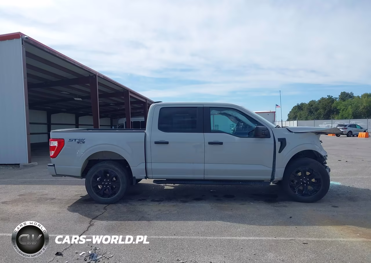 2023 Ford F-150 Xl VIN:1FTEW1EP4PFD24463 - 14