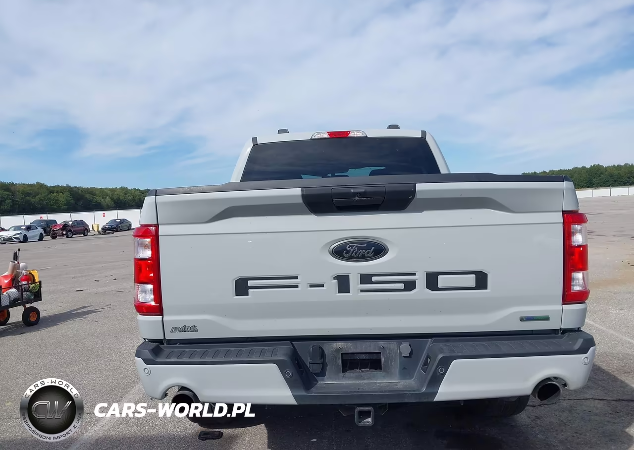2023 Ford F-150 Xl VIN:1FTEW1EP4PFD24463 - 17