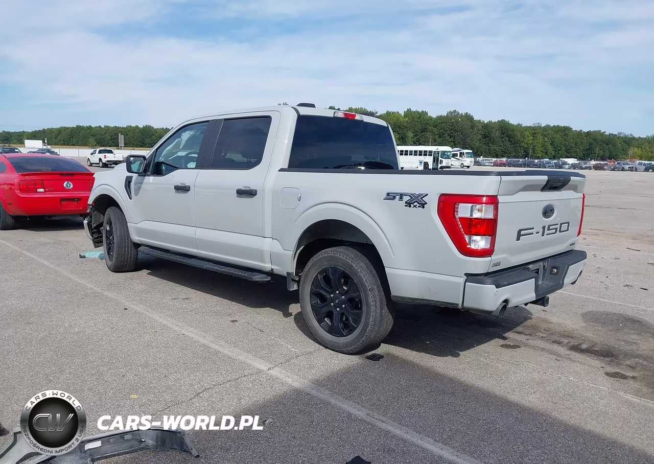 2023 Ford F-150 Xl VIN:1FTEW1EP4PFD24463 - 3