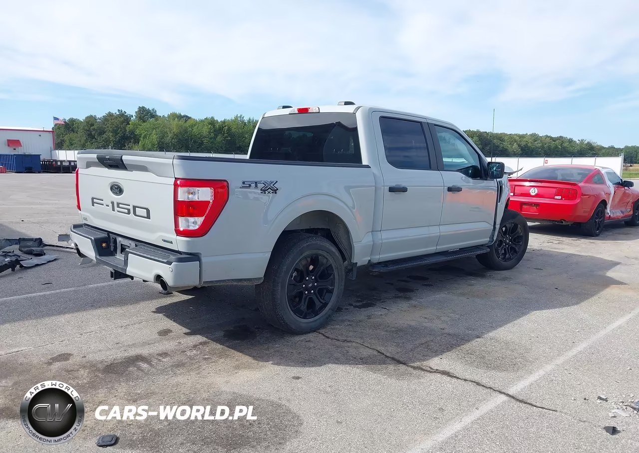 2023 Ford F-150 Xl VIN:1FTEW1EP4PFD24463 - 4