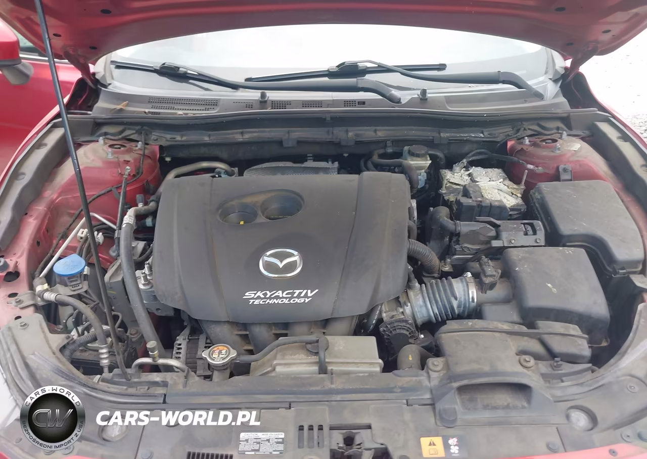 2016 Mazda Mazda3 I Sport VIN:3MZBM1K70GM259718 - 10