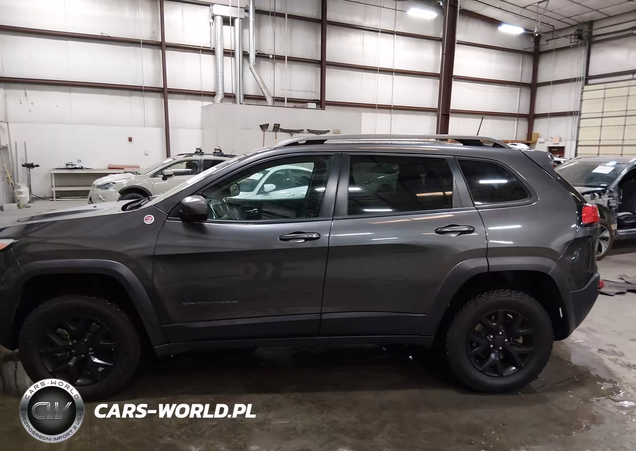 2017 Jeep Cherokee Trailhawk 4X4 VIN:1C4PJMBS8HW538536 - 14
