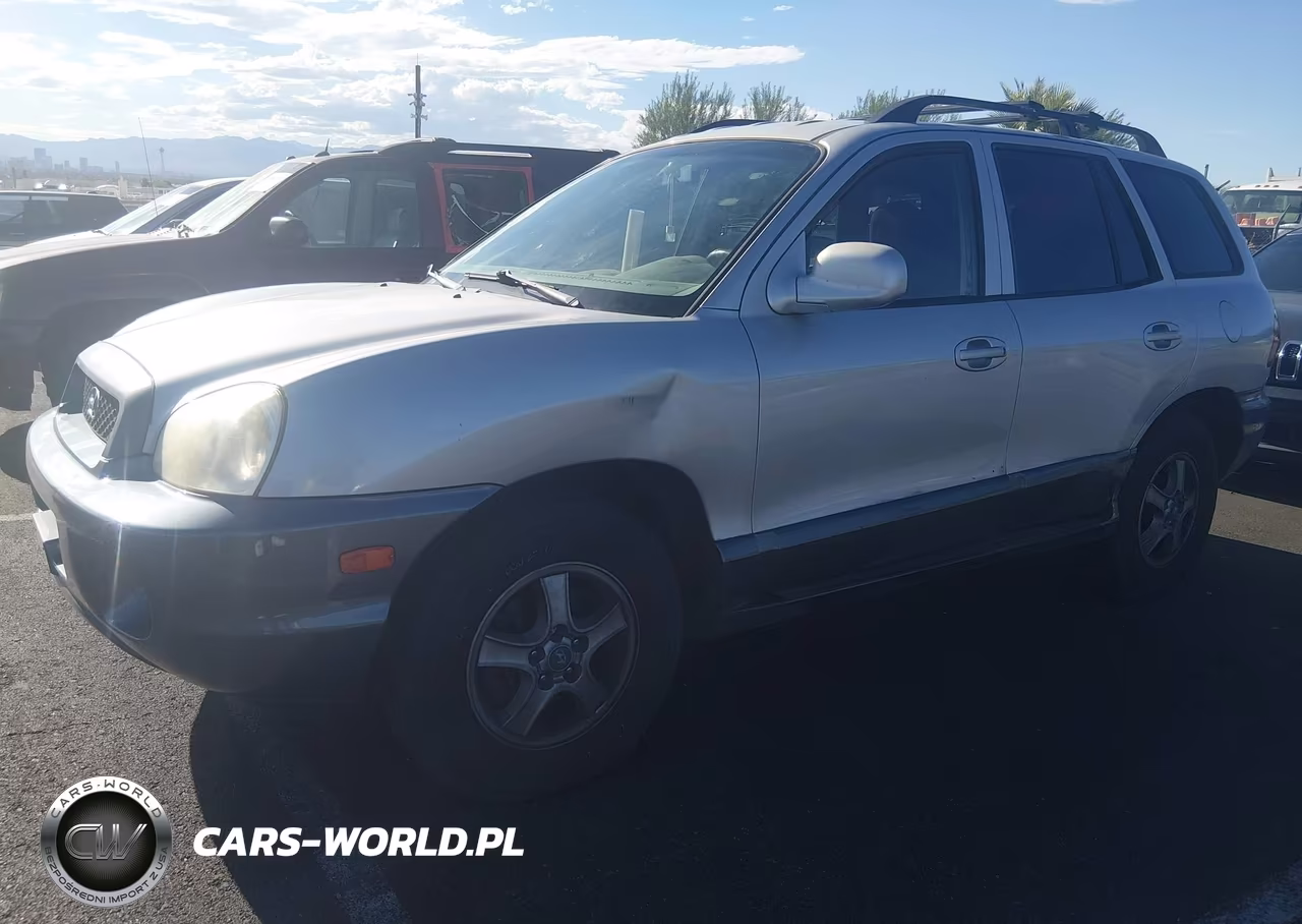 2004 Hyundai Santa Fe Gls-Lx VIN:KM8SC13E74U650077 - 2