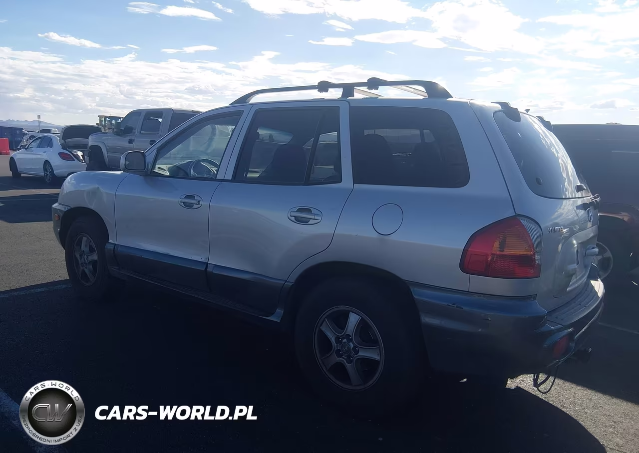 2004 Hyundai Santa Fe Gls-Lx VIN:KM8SC13E74U650077 - 3