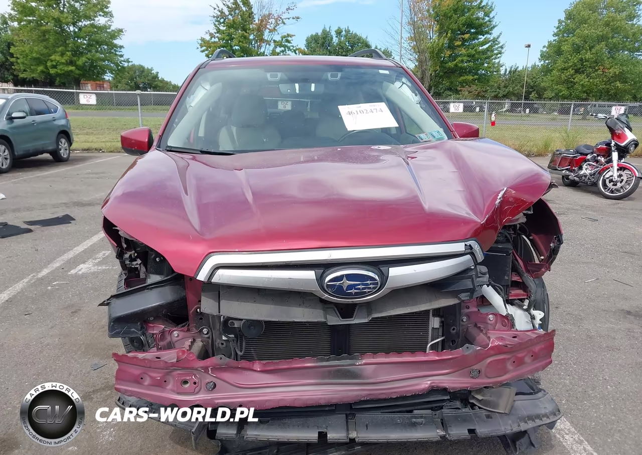 2019 Subaru Forester Premium VIN:JF2SKAGC2KH573982 - 12