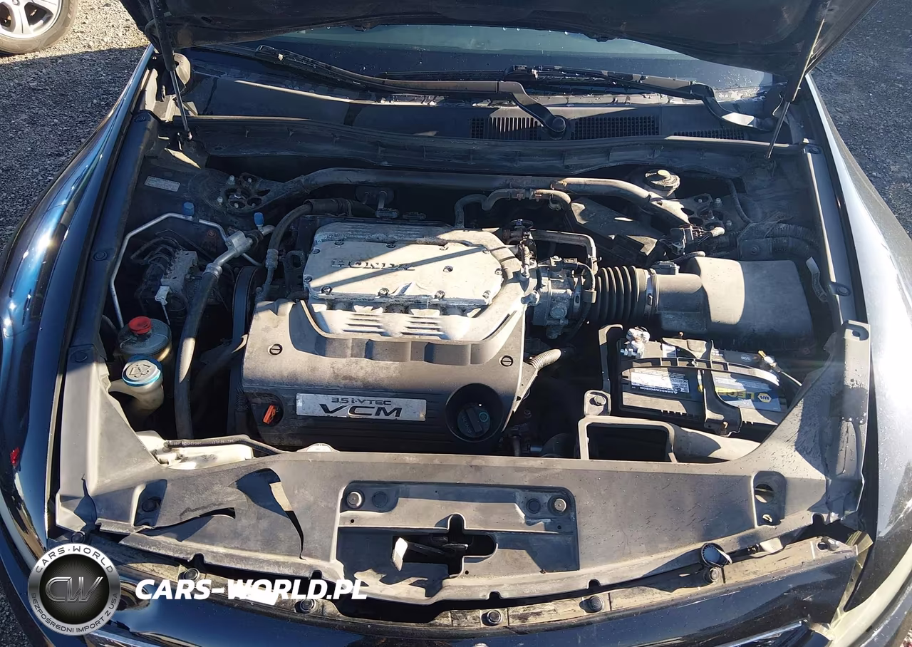 2010 Honda Accord 3.5 Ex-L VIN:1HGCS2B81AA005386 - 10