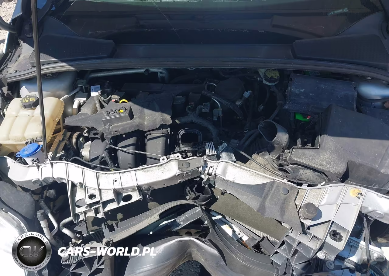 2014 Ford Focus Se VIN:1FADP3K21EL243566 - 10