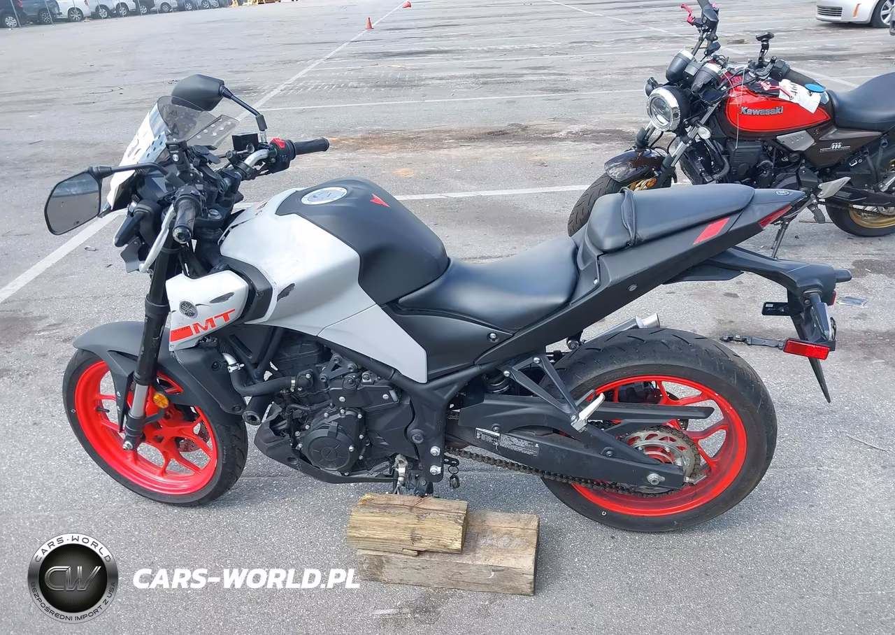 2020 Yamaha Mt-03 VIN:MH3RH20YXLK001765 - 12