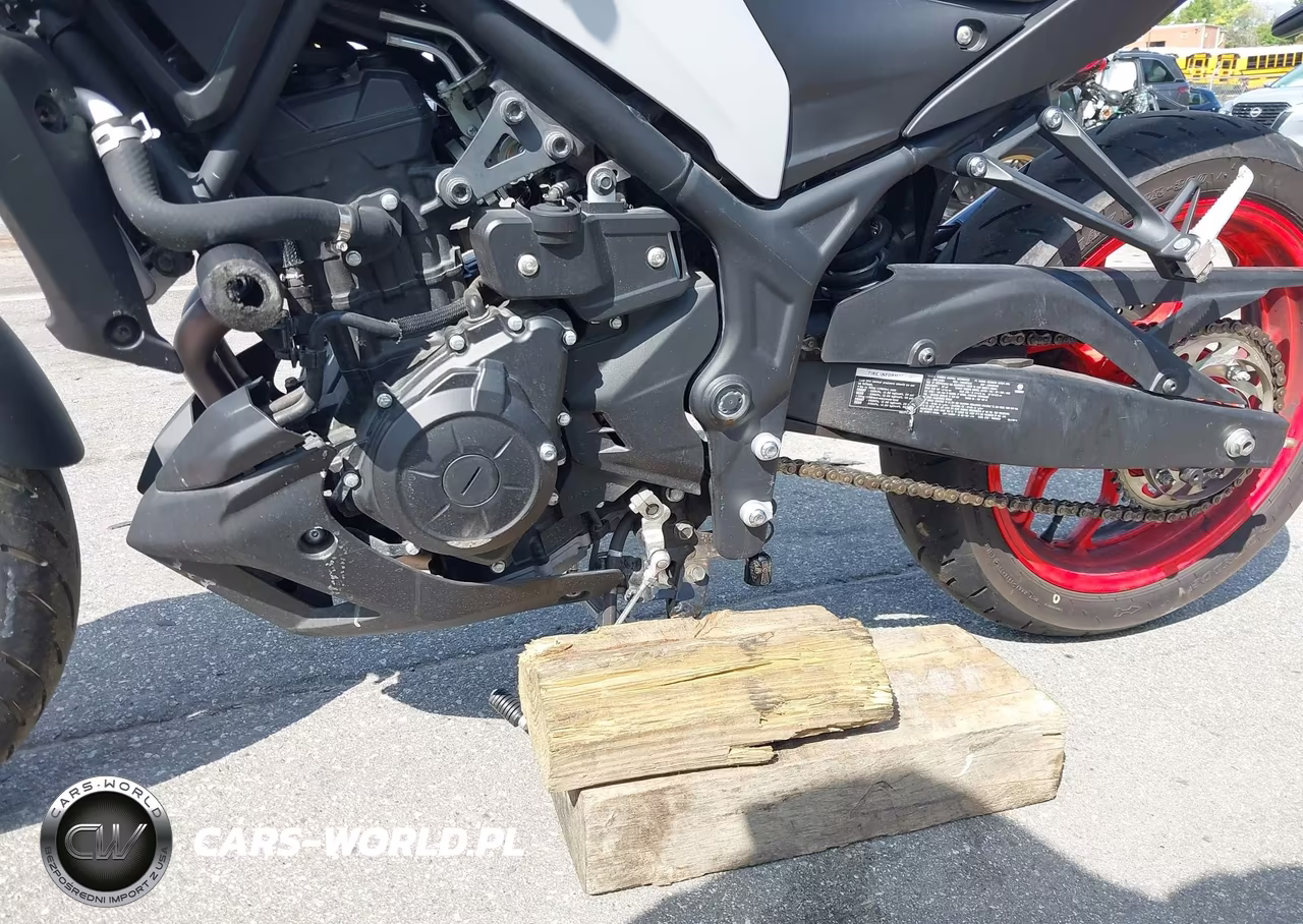2020 Yamaha Mt-03 VIN:MH3RH20YXLK001765 - 13