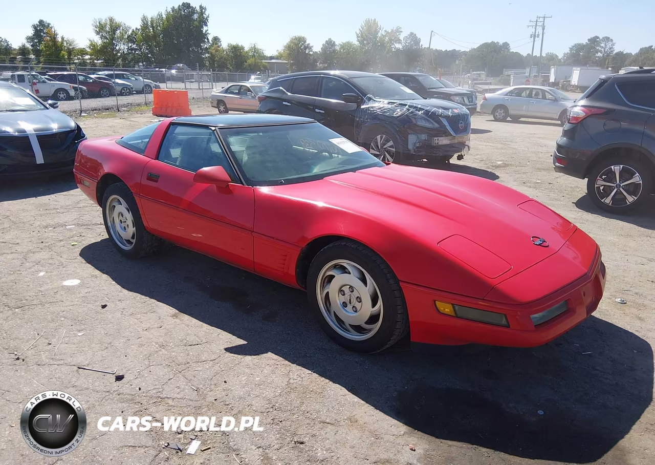 1996 Chevrolet Corvette VIN:1G1YY22P6T5111668 - 1