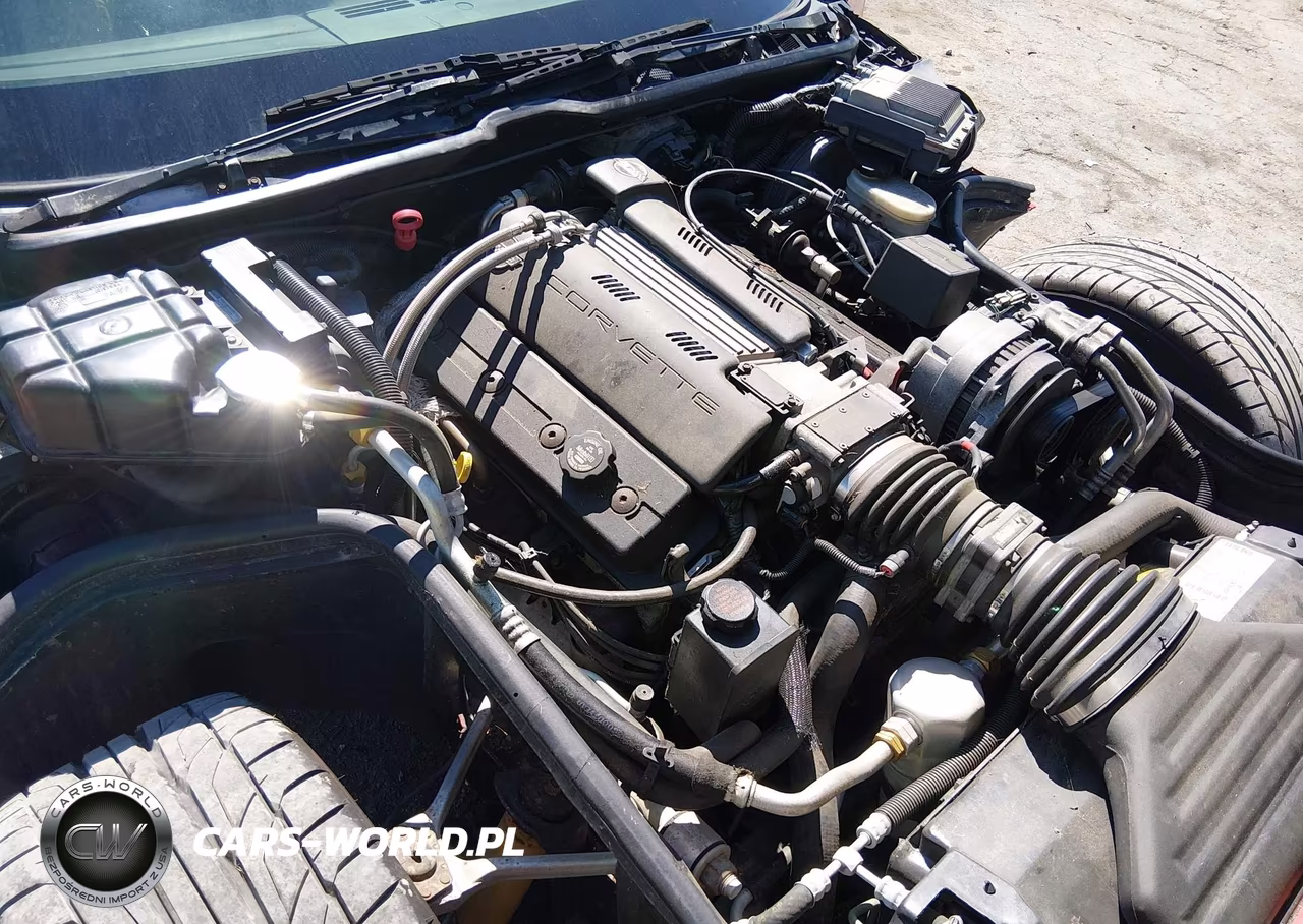 1996 Chevrolet Corvette VIN:1G1YY22P6T5111668 - 10