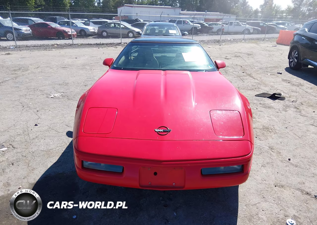1996 Chevrolet Corvette VIN:1G1YY22P6T5111668 - 12