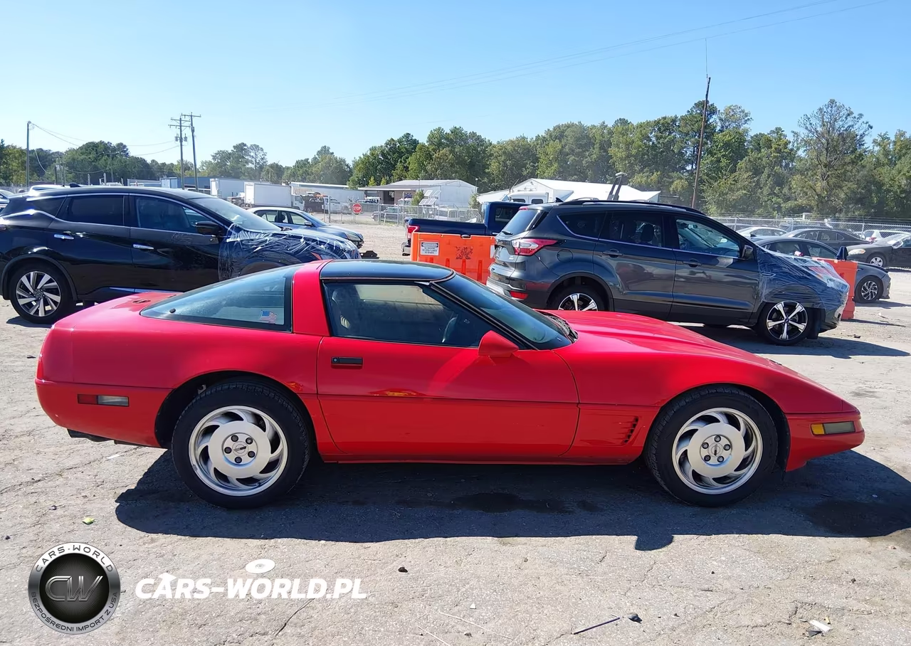1996 Chevrolet Corvette VIN:1G1YY22P6T5111668 - 13