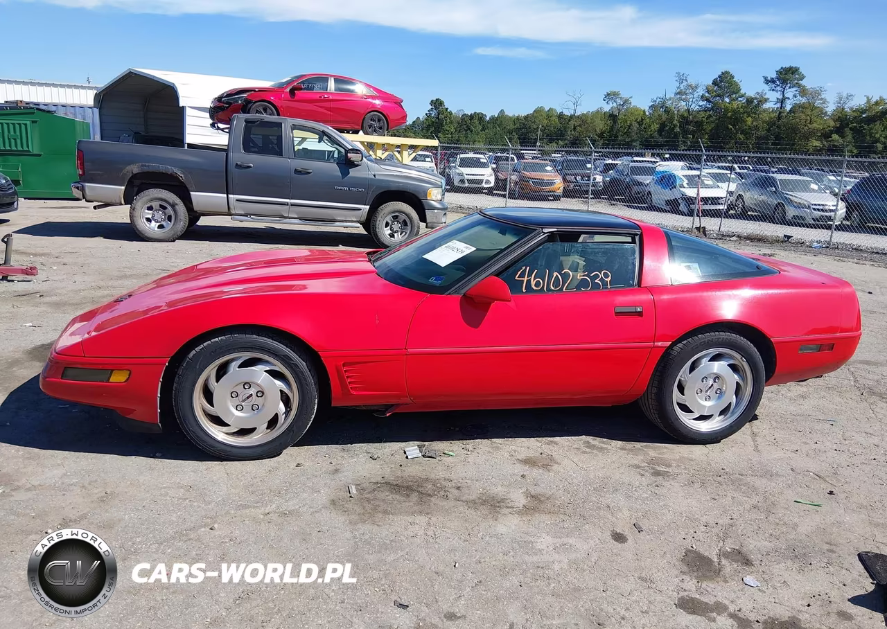 1996 Chevrolet Corvette VIN:1G1YY22P6T5111668 - 14