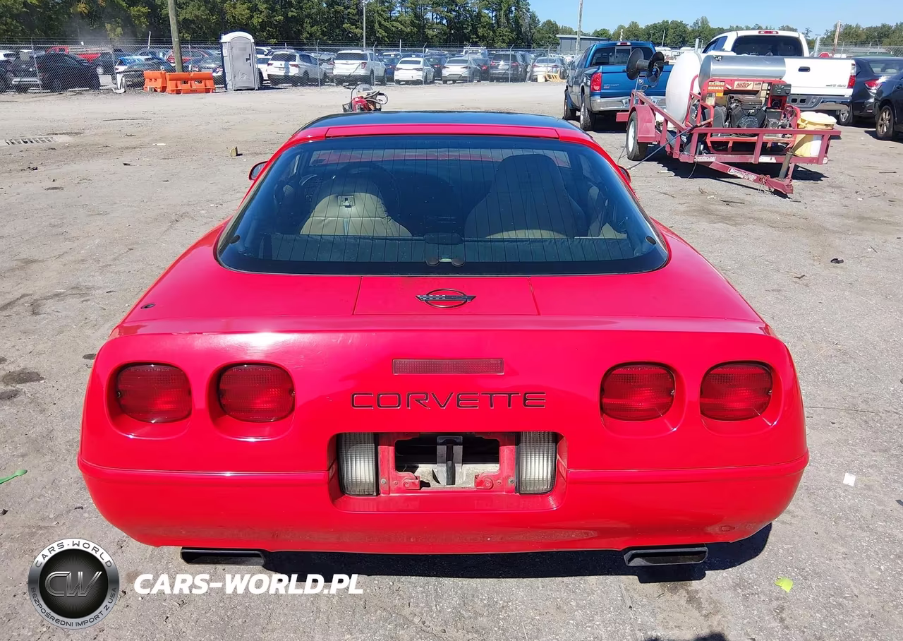 1996 Chevrolet Corvette VIN:1G1YY22P6T5111668 - 16