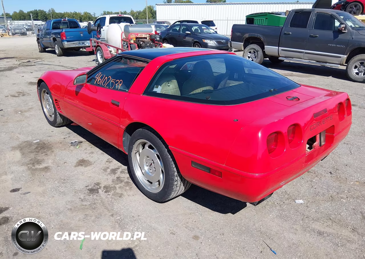 1996 Chevrolet Corvette VIN:1G1YY22P6T5111668 - 3
