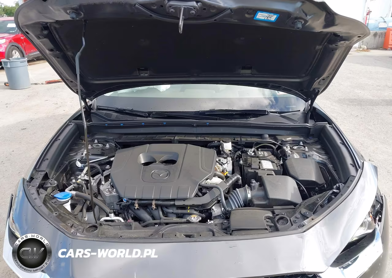 2025 Mazda Cx-30 2.5 S Premium Package VIN:3MVDMBDM1SM774867 - 10