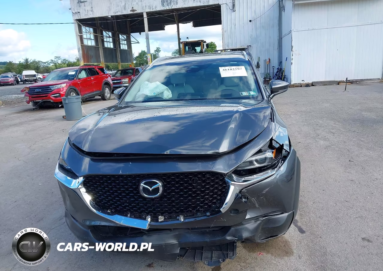 2025 Mazda Cx-30 2.5 S Premium Package VIN:3MVDMBDM1SM774867 - 12