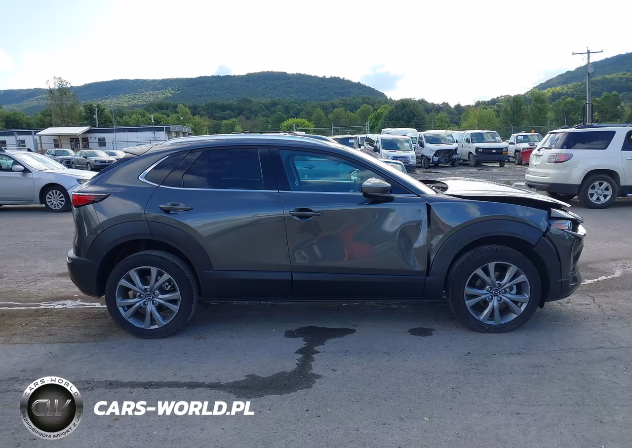 2025 Mazda Cx-30 2.5 S Premium Package VIN:3MVDMBDM1SM774867 - 13