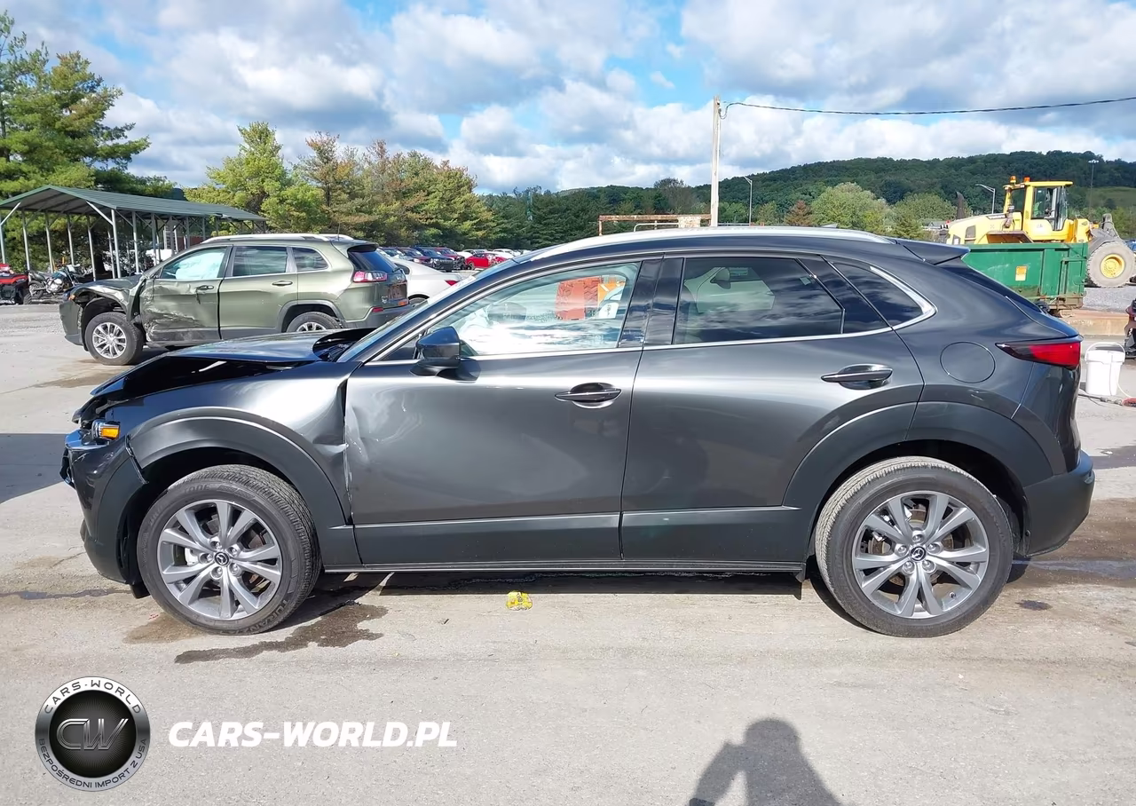 2025 Mazda Cx-30 2.5 S Premium Package VIN:3MVDMBDM1SM774867 - 14