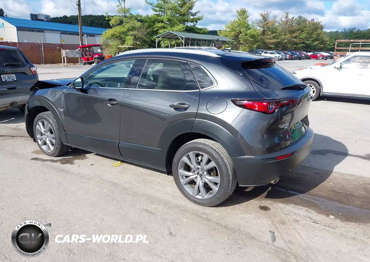 2025 Mazda Cx-30 2.5 S Premium Package VIN:3MVDMBDM1SM774867 - 3