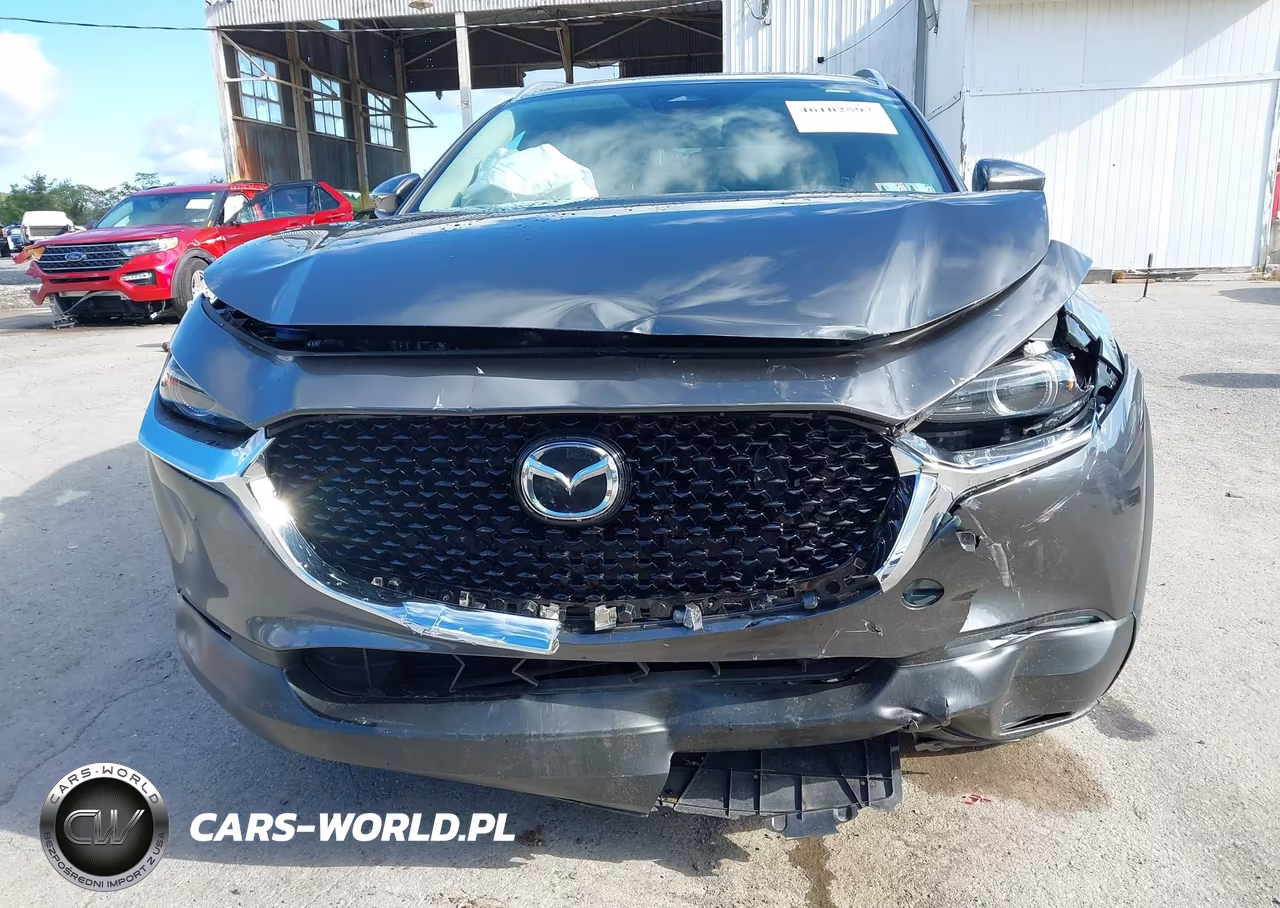 2025 Mazda Cx-30 2.5 S Premium Package VIN:3MVDMBDM1SM774867 - 6