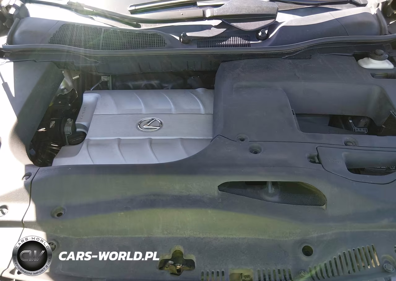 2015 Lexus Rx 350 VIN:2T2BK1BA8FC276905 - 10