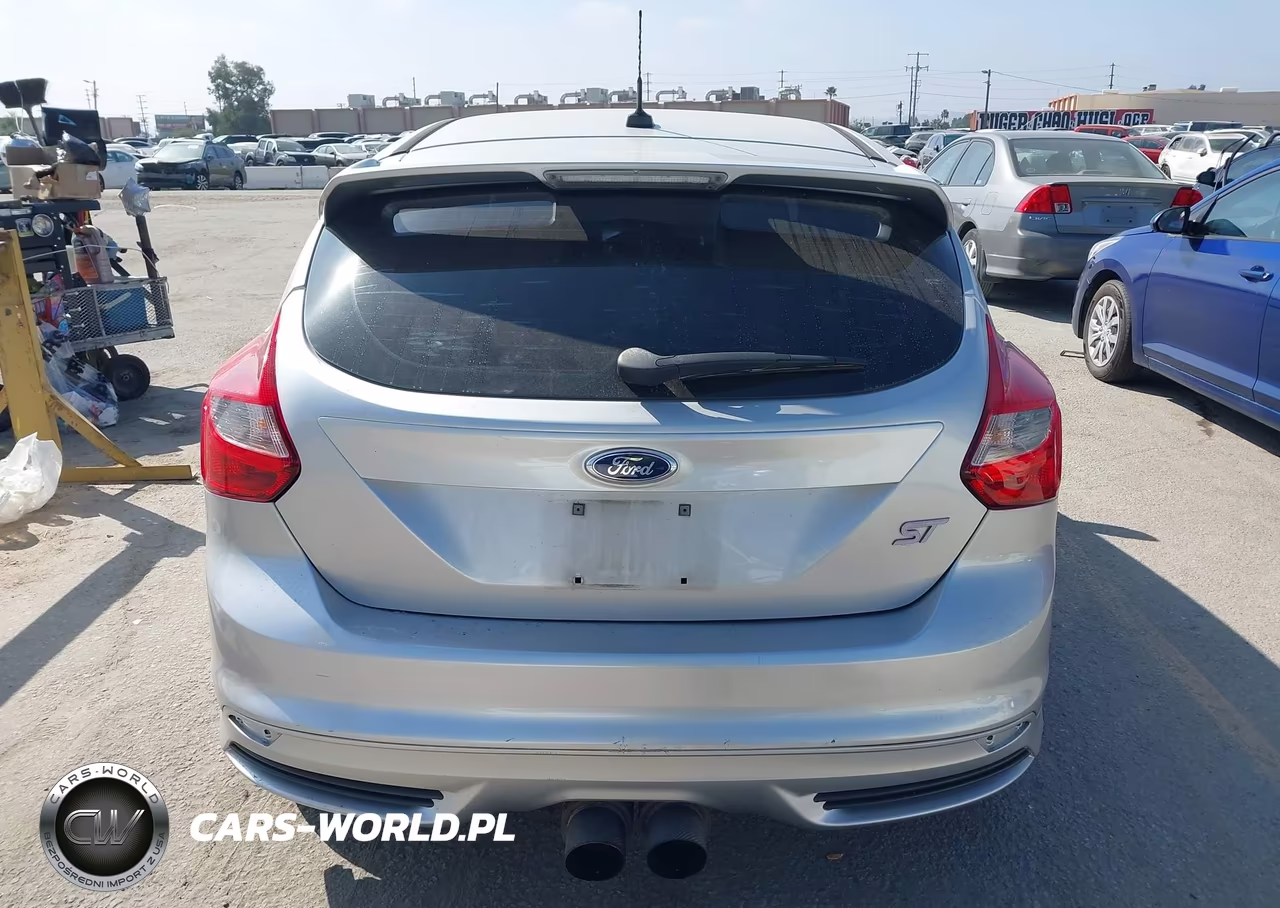 2014 Ford Focus St VIN:1FADP3L95EL362314 - 16