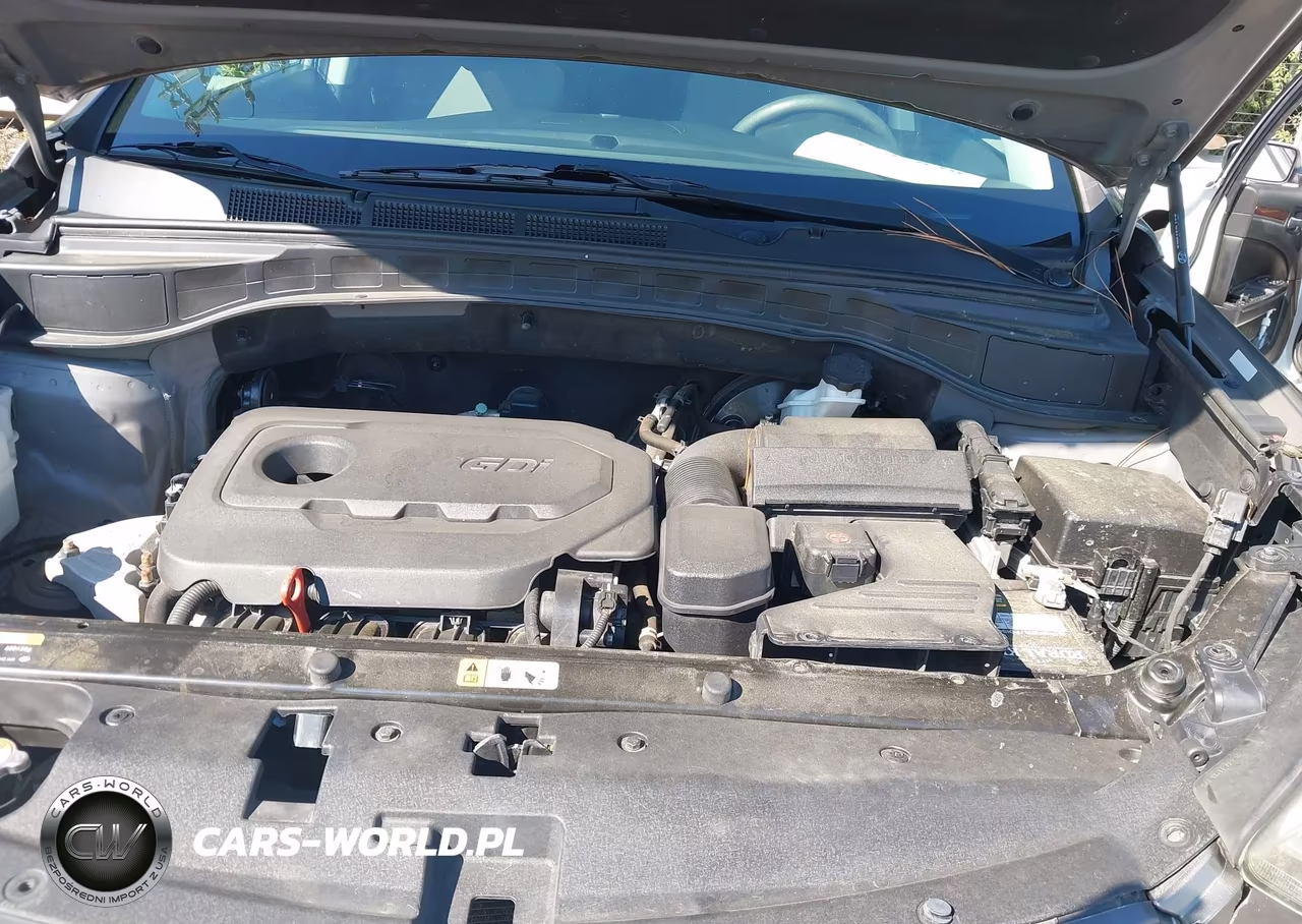 2017 Hyundai Santa Fe Sport 2.4L VIN:5XYZTDLB4HG430977 - 10