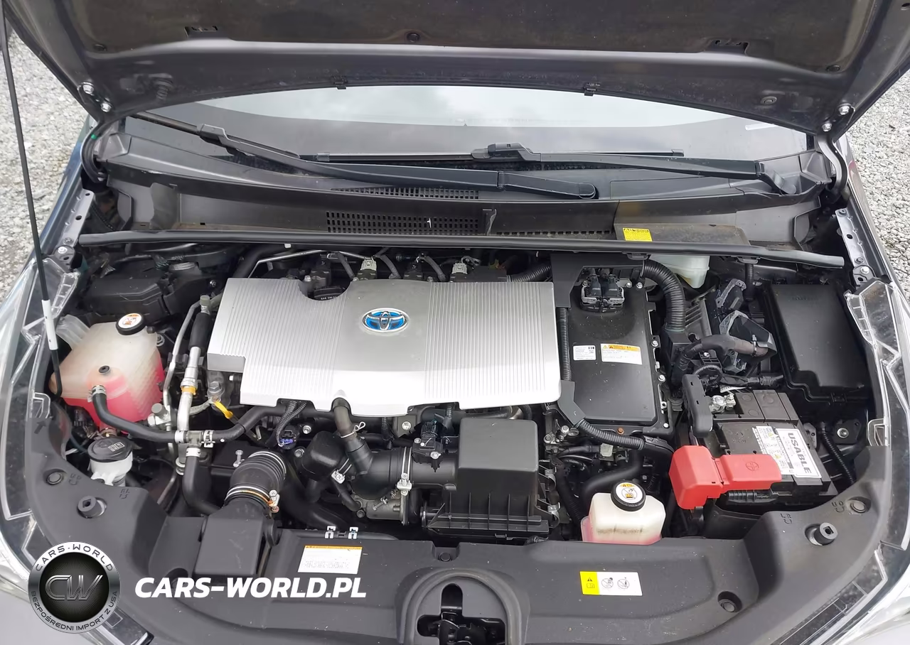 2016 Toyota Prius VIN:JTDKBRFU2G3022141 - 10